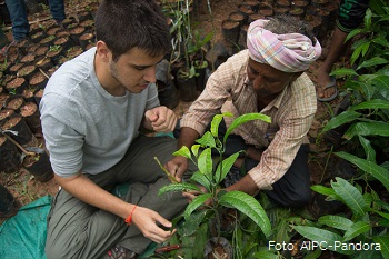 diferencias_voluntariado_viaje_solidario